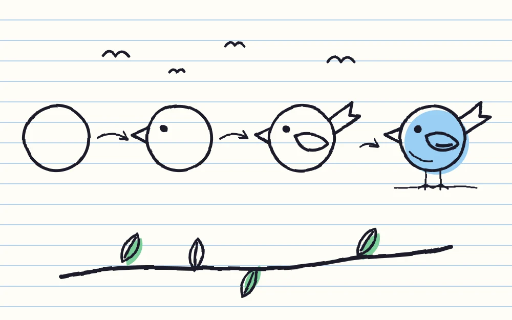 A round bird drawn in four stages joined by arrows, from a plain circle body to a finished bird standing on thin legs