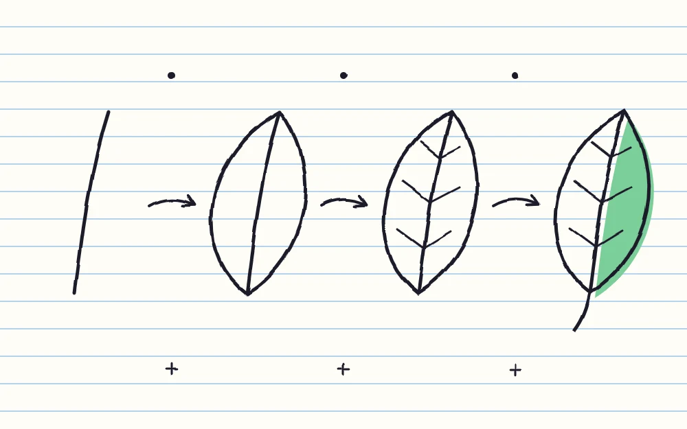 One leaf doodle in four stages joined by arrows: a curved center vein, an almond outline, side veins added, then a stem and green accent